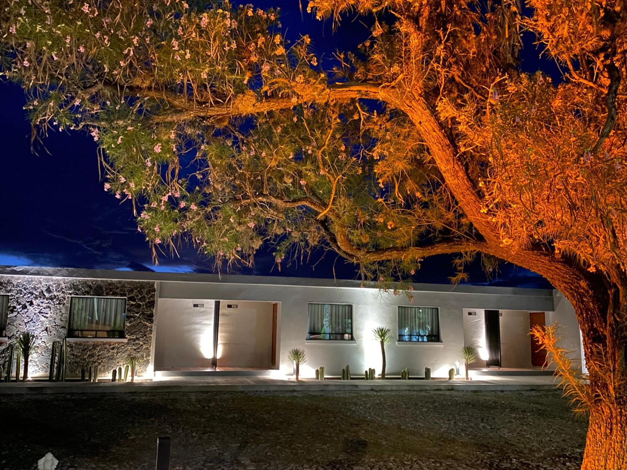 Hotel El Pedregal Matehuala Εξωτερικό φωτογραφία